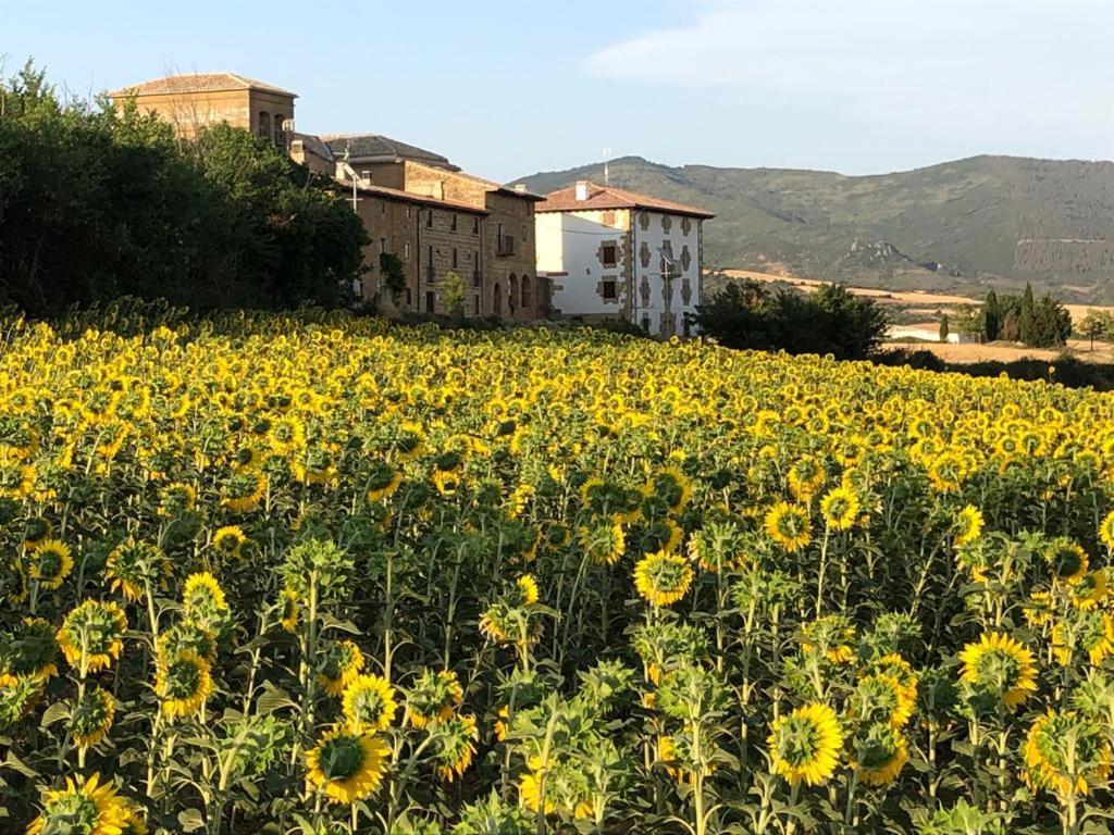 Villa Migueltxoenea Lacar Exterior foto